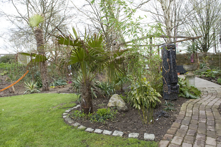 08-04 border met nieuwe aanplant.jpg