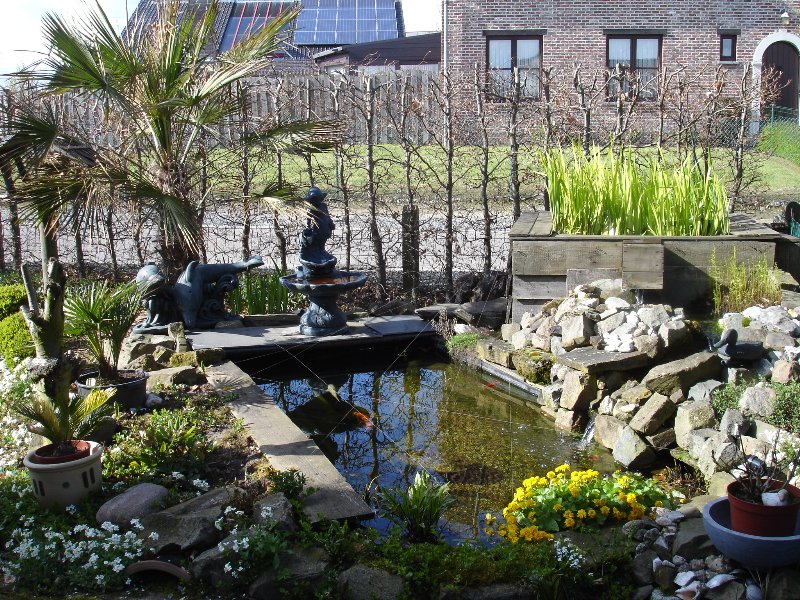 tuin 464_800x600.jpg