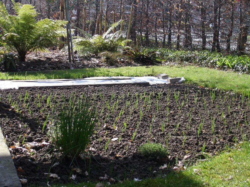 tuin 465_800x600.jpg