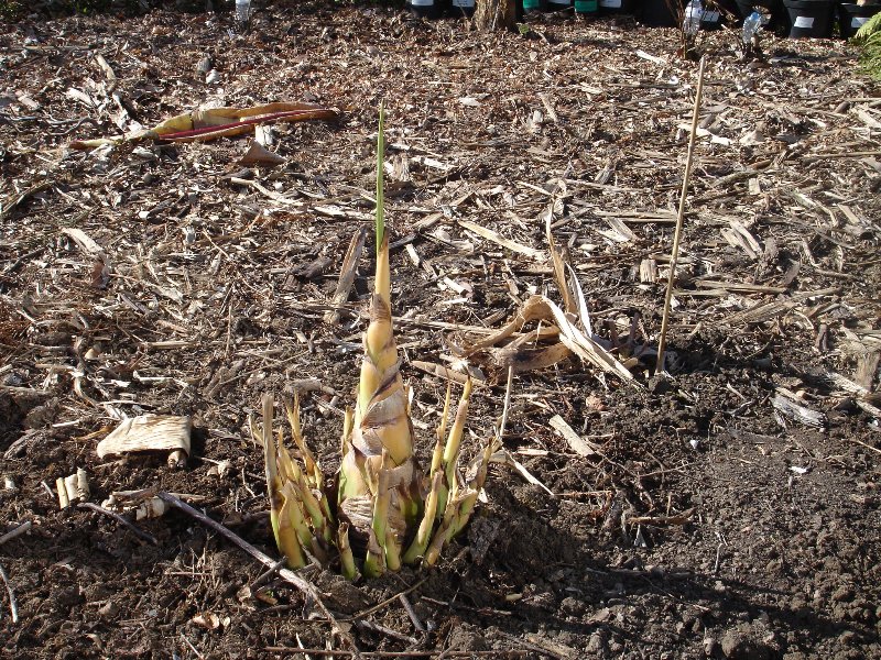 tuin 467_800x600.jpg