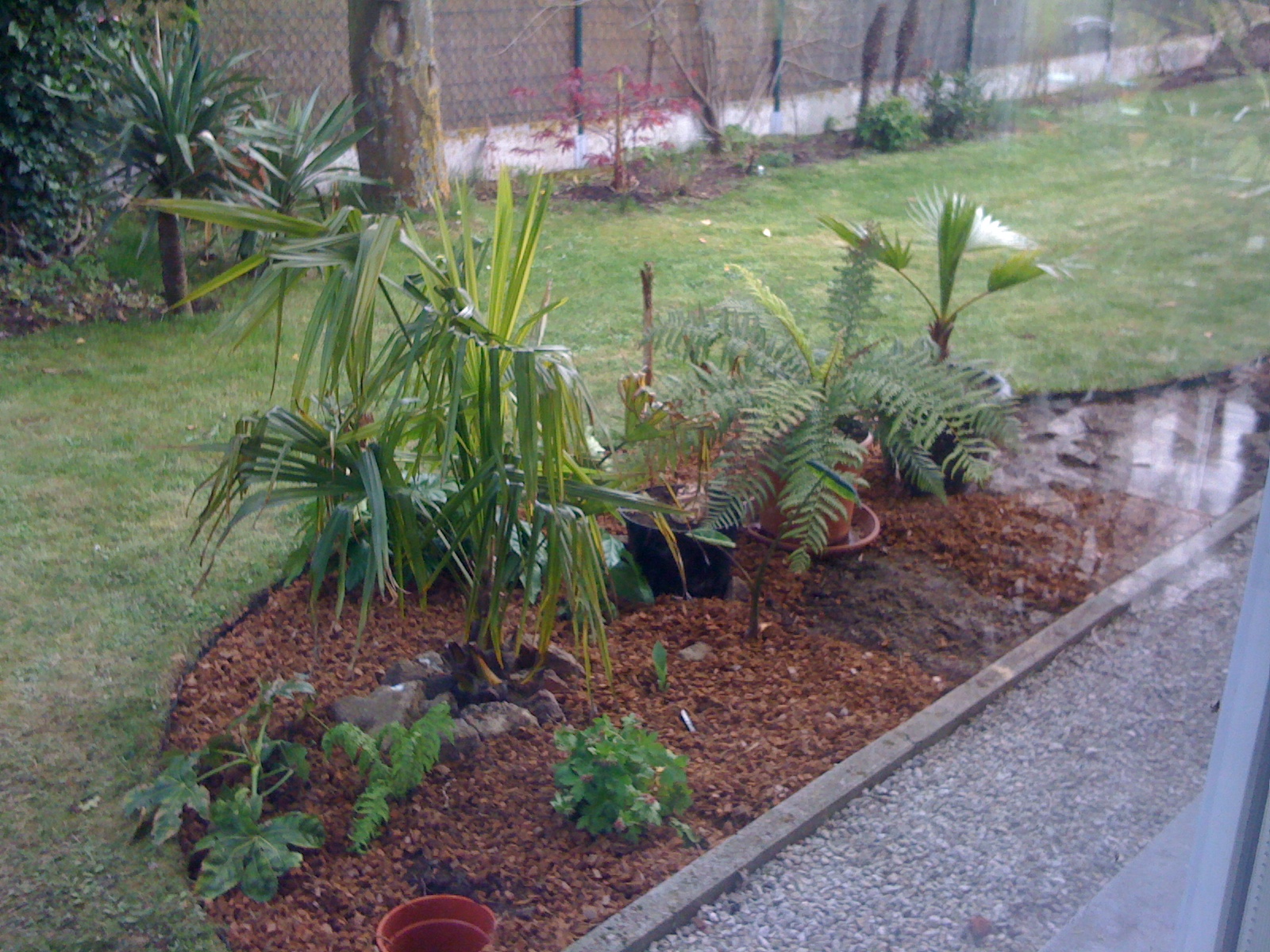 Photo 1-05-12 17 09 02.jpg