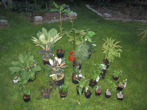 IMG_2009 (Kopie).JPG