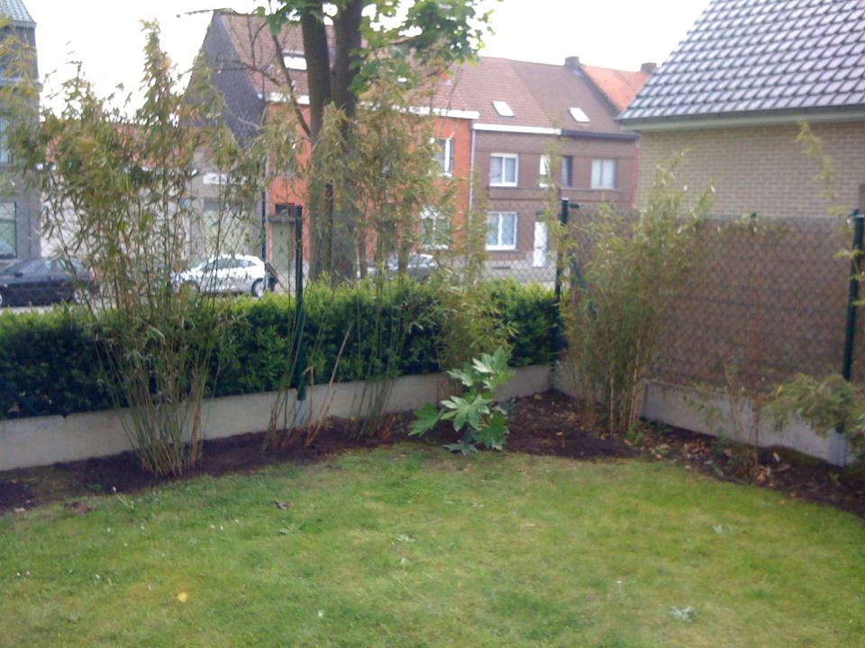 Bamboehoek 20120507.jpg