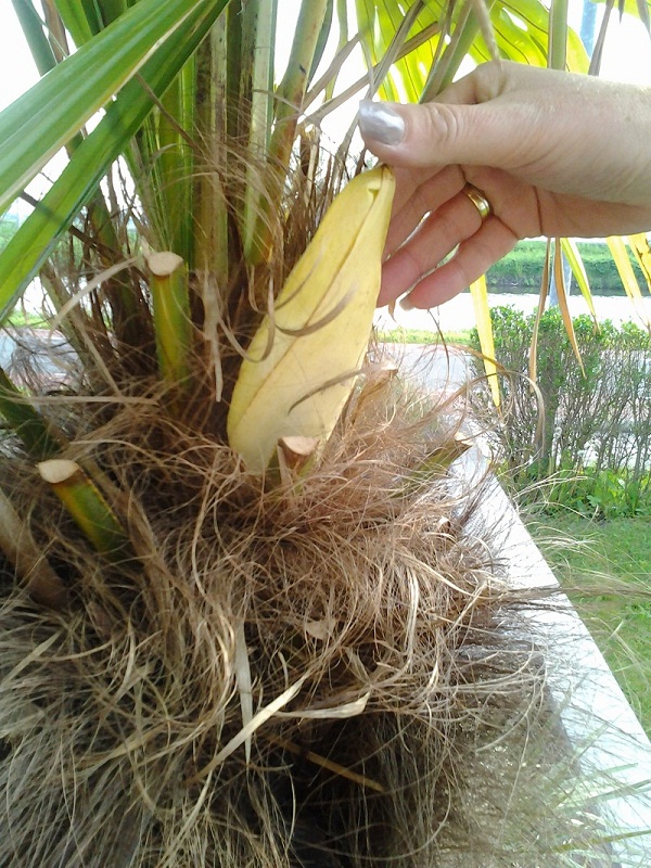 2012-05-20 19.06.58.jpg