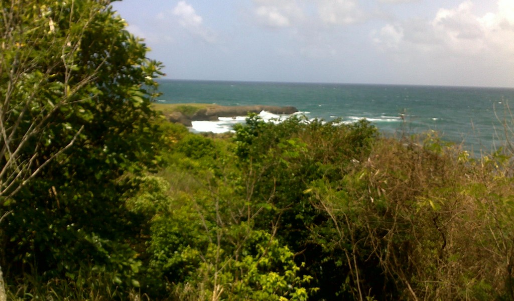 20052012294.jpg