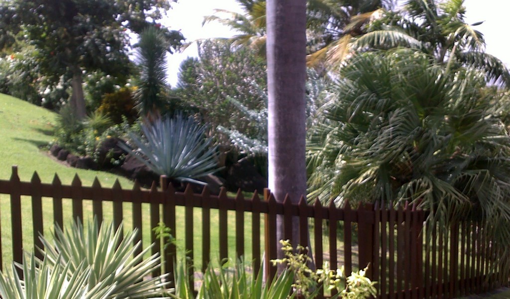 20052012284.jpg