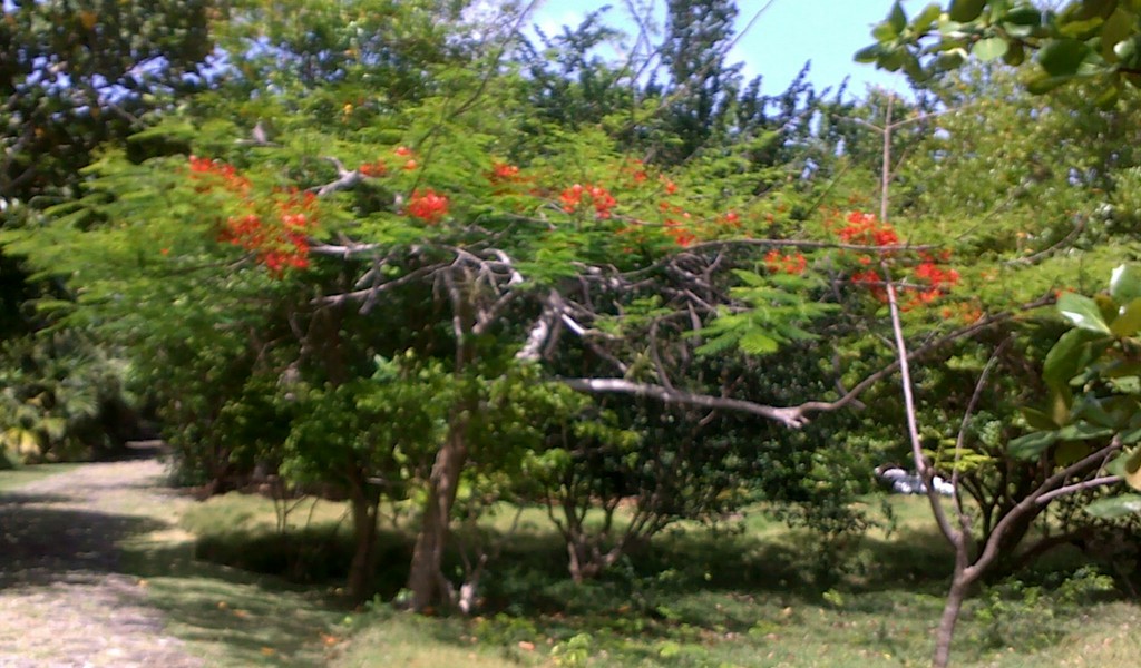 20052012290.jpg