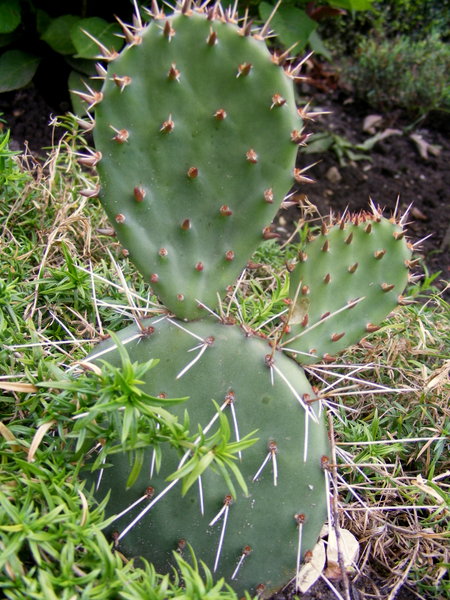 DSCF6639.JPG