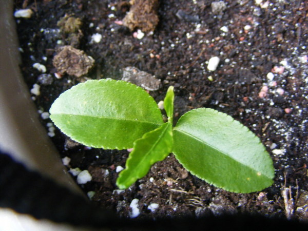DSCF6830.JPG