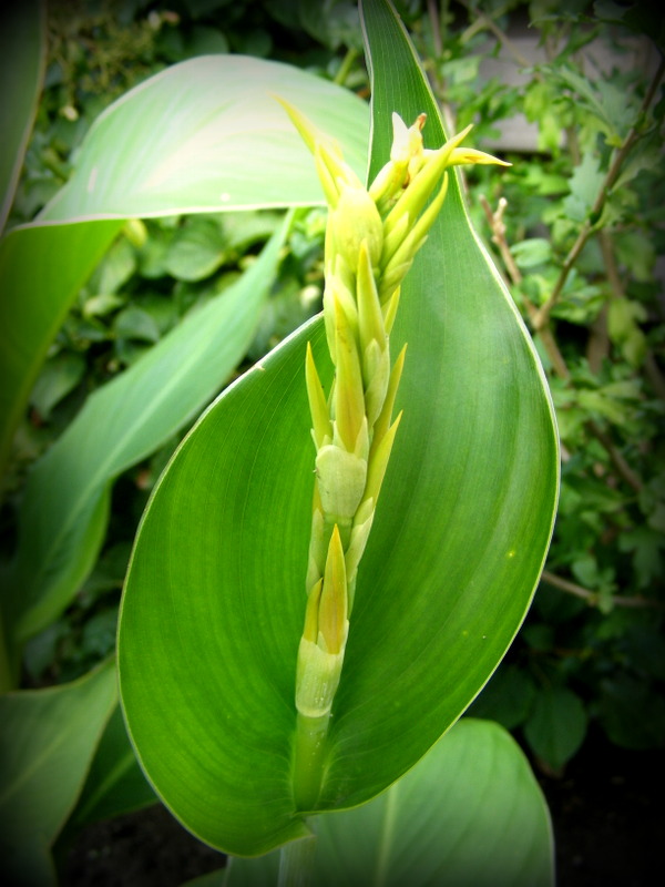 DSCF6891.JPG