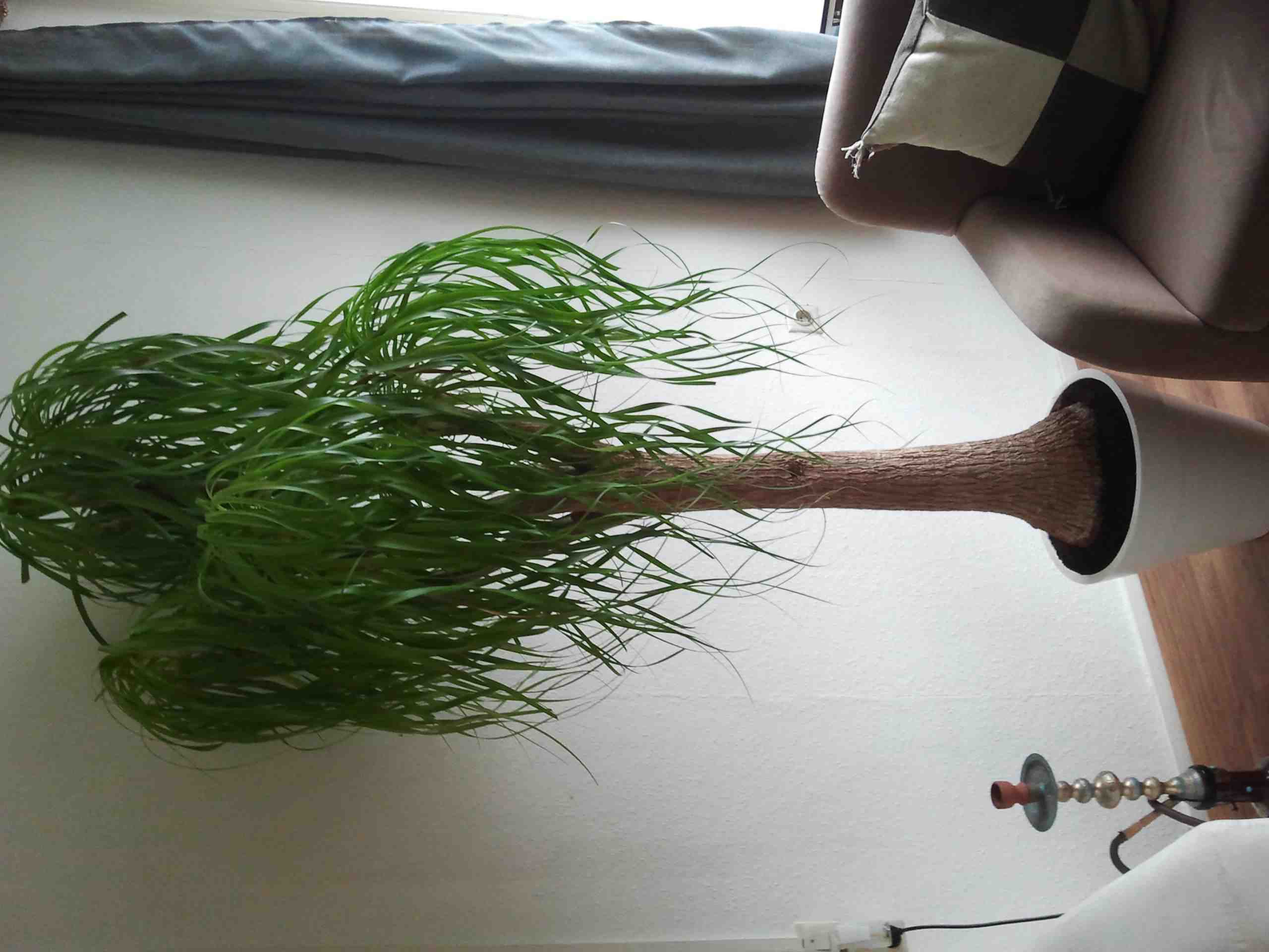 2012-04-02 18.30.27.jpg