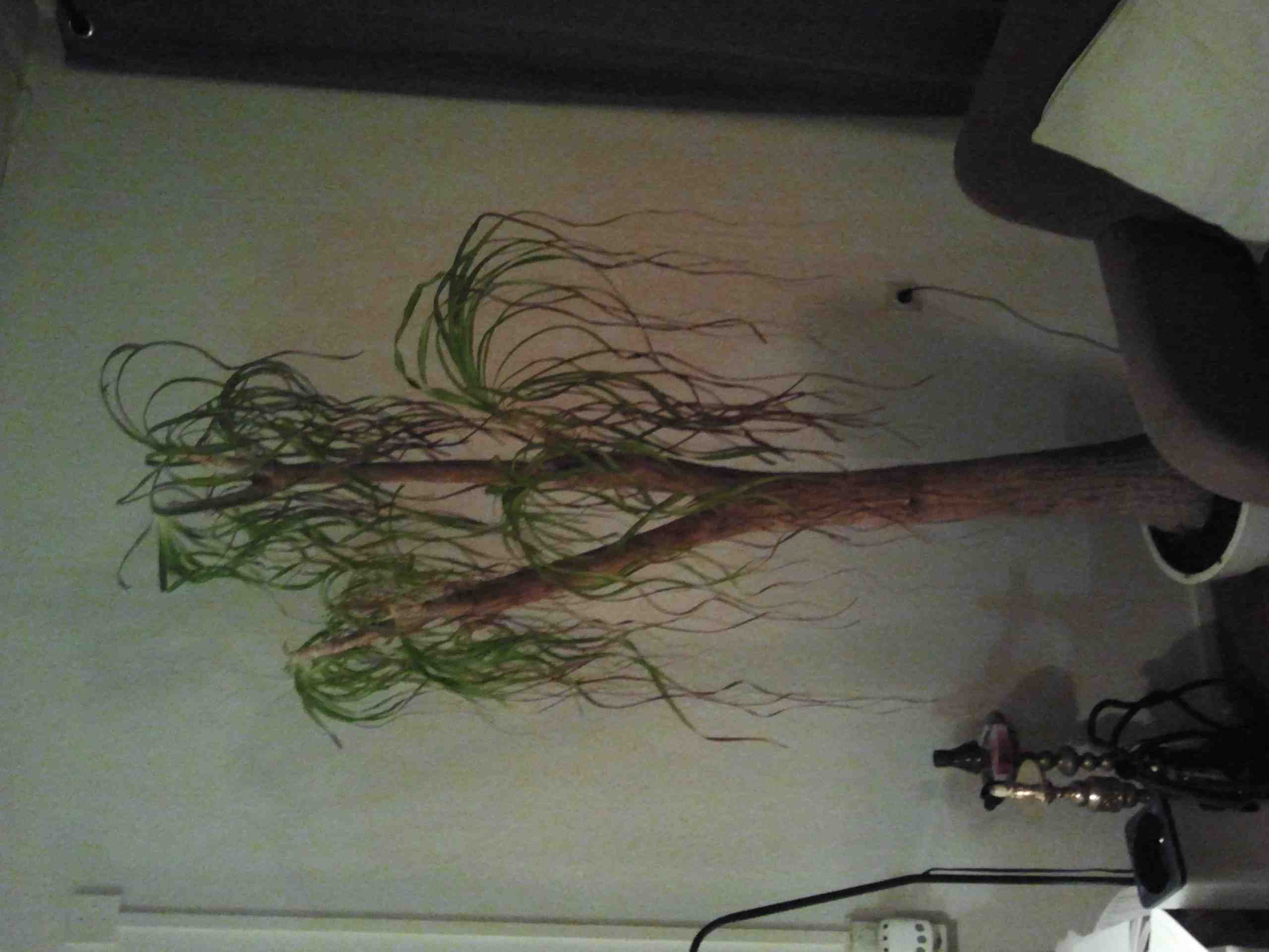 2012-12-09 18.15.53.jpg