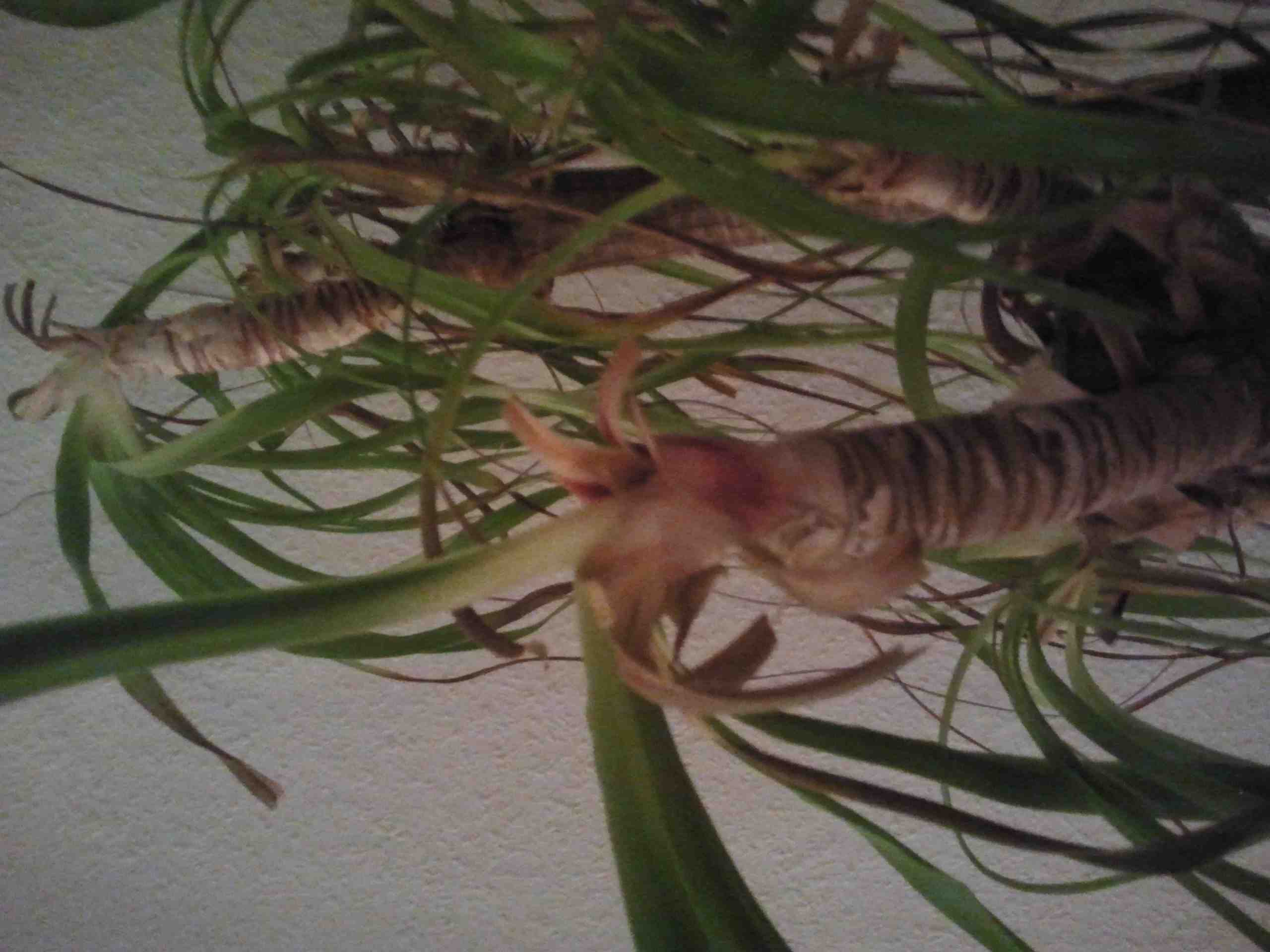 2012-12-09 18.16.12.jpg