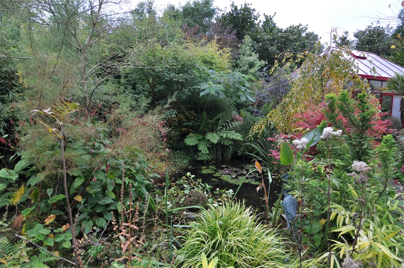 tuin2012.jpg