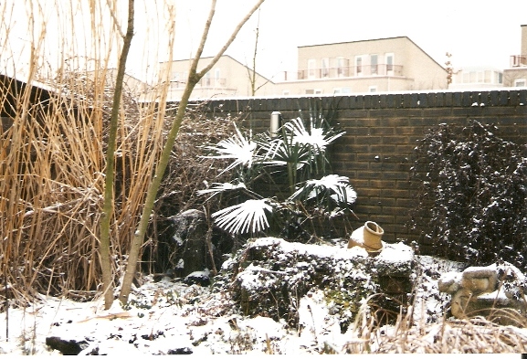 p3.jpg