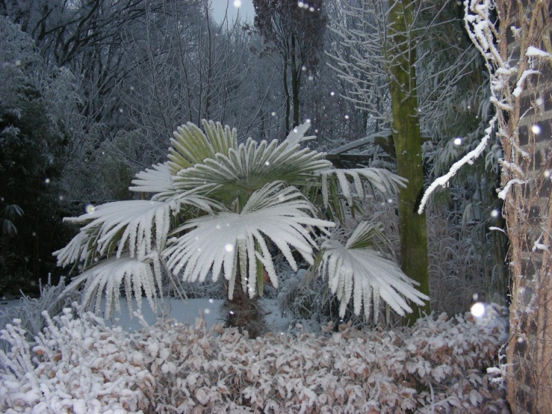 p5.JPG
