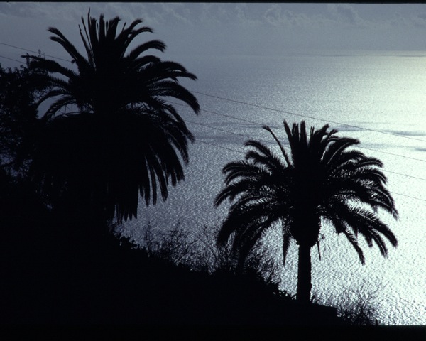 la palma94a.jpg