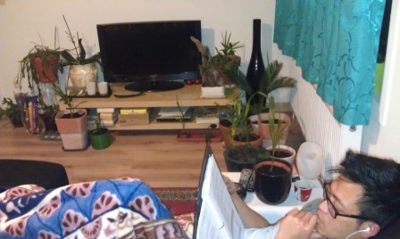 IMAG0538.jpg