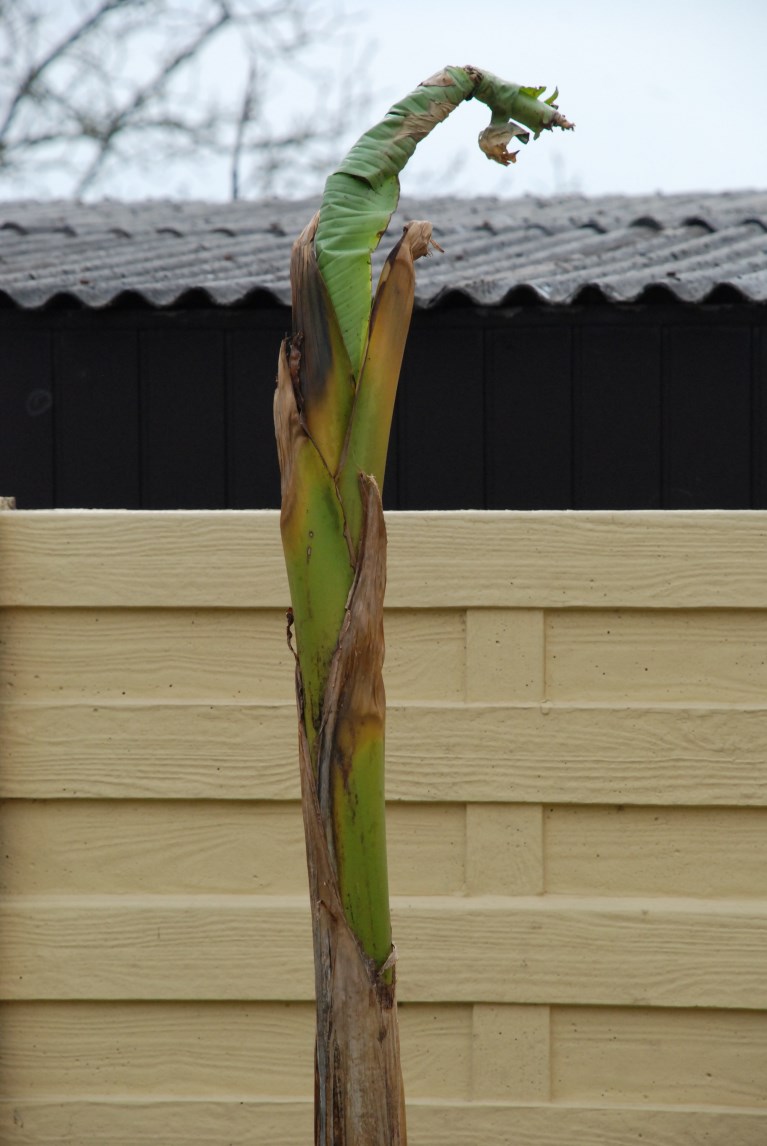 DSC_0009.jpg