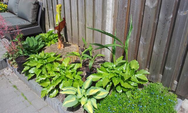 rps20130604_150259_601.jpg