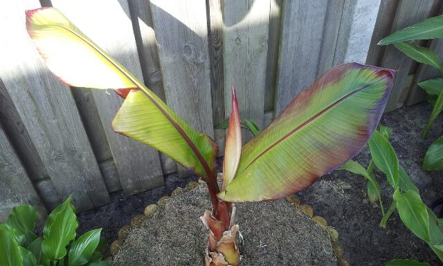 rps20130604_151128.jpg