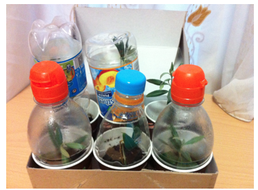 Schermafbeelding 2013-06-05 om 07.58.04.png