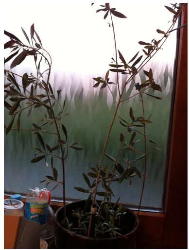 Schermafbeelding 2013-06-05 om 08.00.29.png