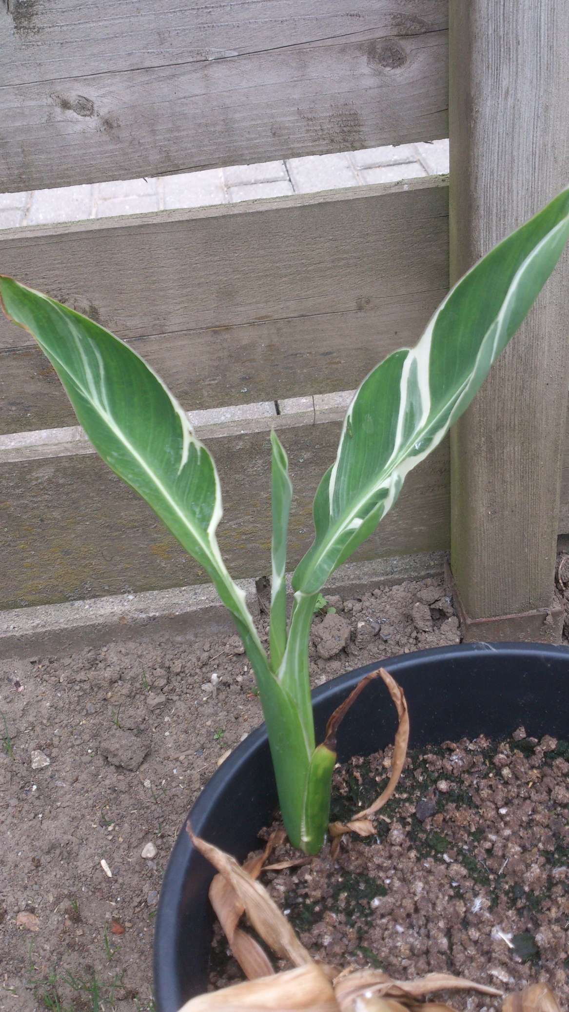 2013-06-10 14.00.54-K290.jpg