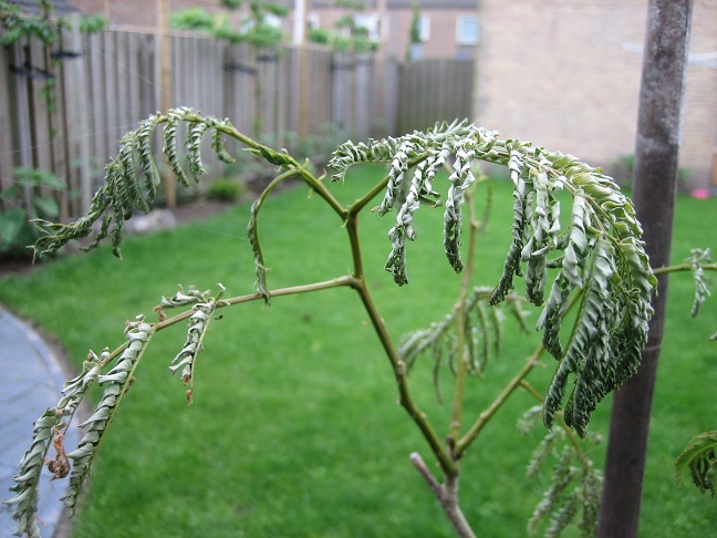 IMG_7632.JPG