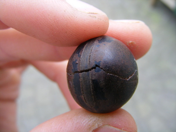 DSCF7883.JPG