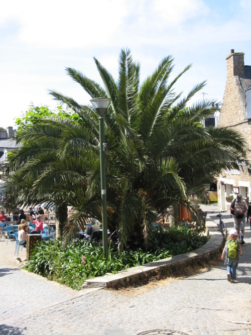 foto op de markt.jpg