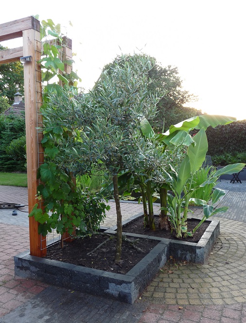 P1080289.JPG