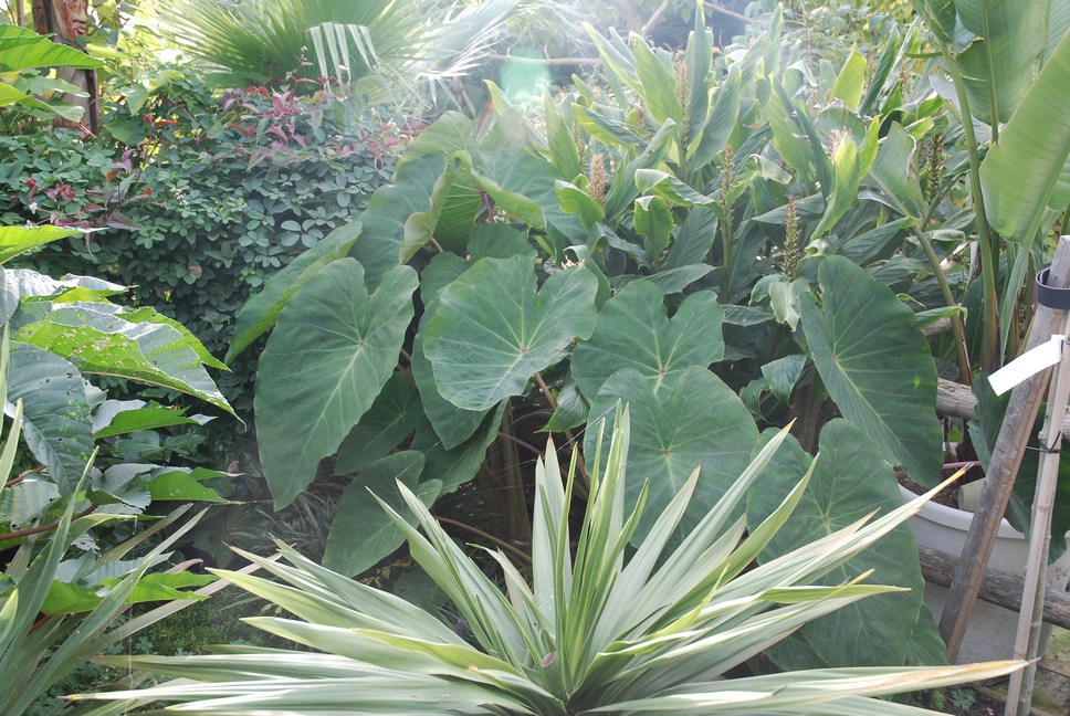 img10.jpg