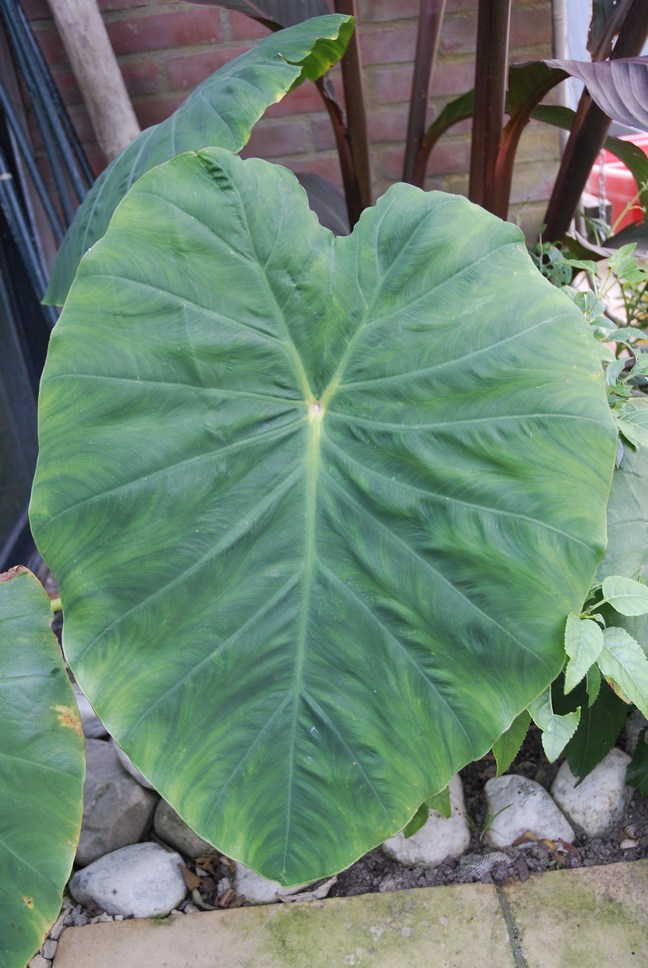img12.jpg