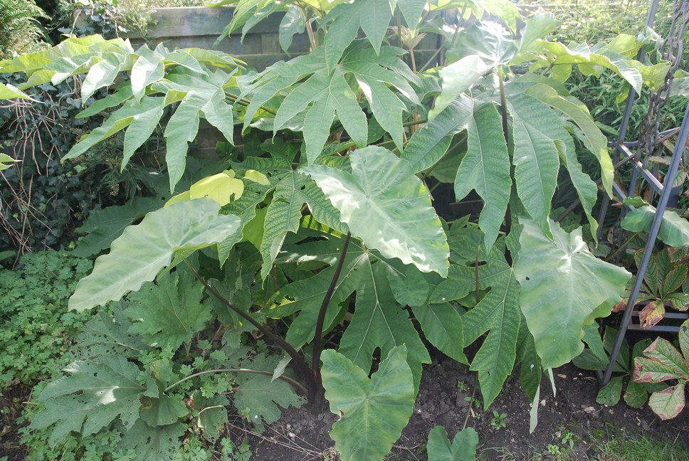 img14.jpg