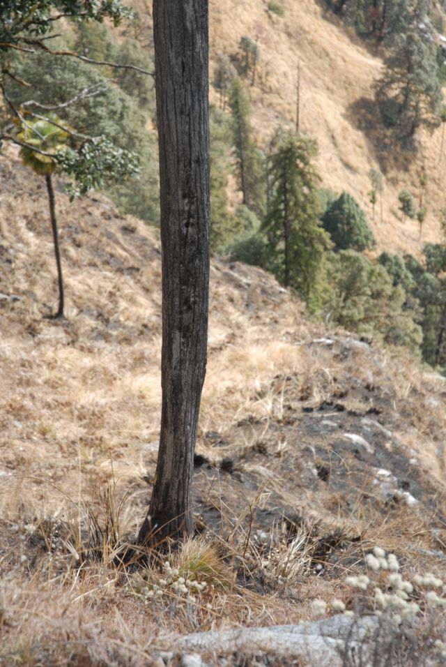 DSC_6972-1.jpg