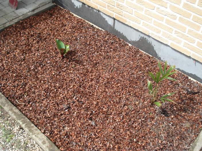 Border voor 201004.JPG