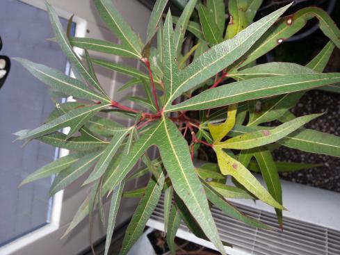 20140130_145115 (1).jpg