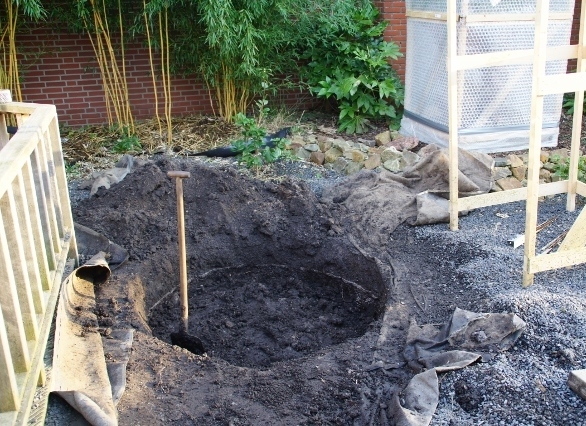 DSC08219 (640x426).jpg