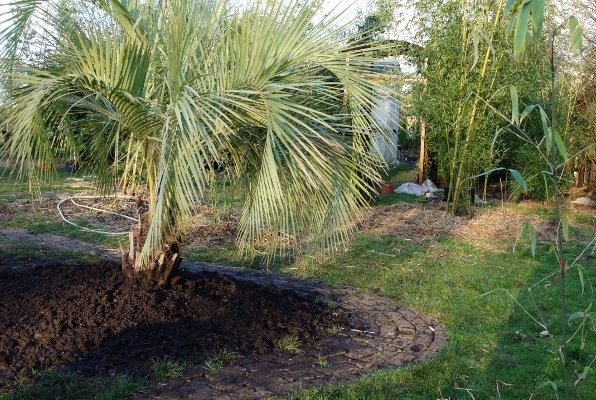 DSC08215 (640x426).jpg