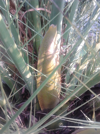 2014-04-24 18.13.58.jpg