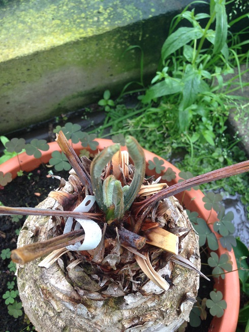 20140528_121115845_iOS.jpg