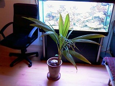 16-10-08 037.jpg