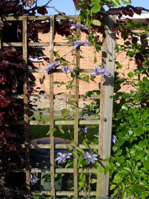 tuin 165-400.jpg
