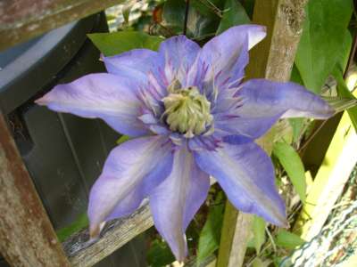 tuin 166-400.jpg