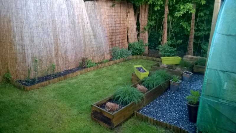 WP_20150523_010.jpg