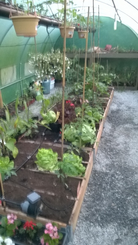 WP_20150523_012.jpg