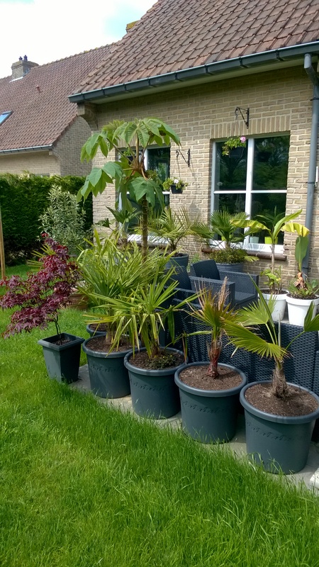 WP_20150601_004.jpg