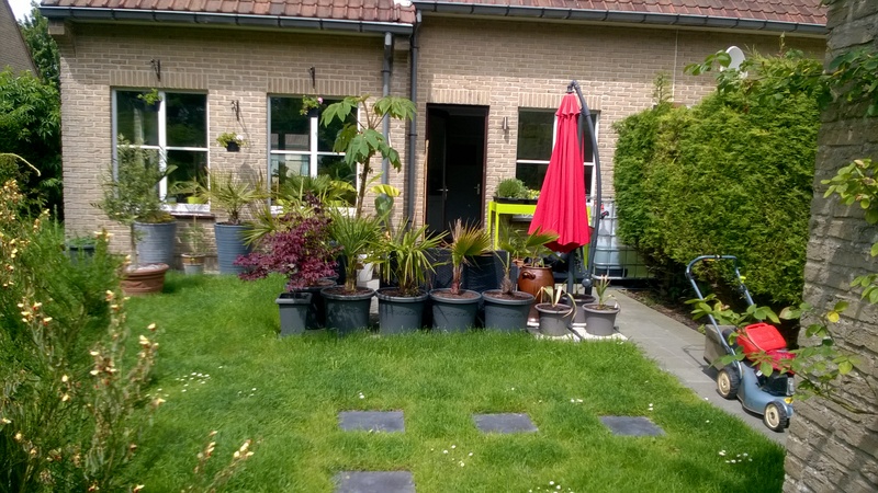 WP_20150601_005.jpg