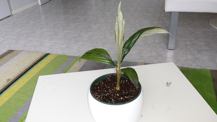 20150728_163852.jpg